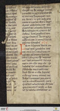 Prv 22,26–23,21