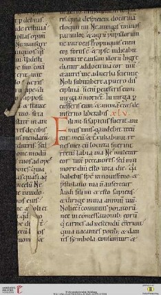 Prv 22,26–23,21