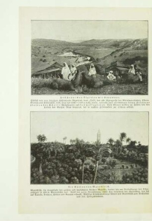 Hochsteppe von Algerien mit Karawane