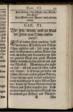 Cap. VI. Wo/ wie/ wenn/ und zu was vor Zeiten man Däntze anstellen soll?