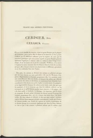 Cerisier. Duh. Cerasus. Tourneff.