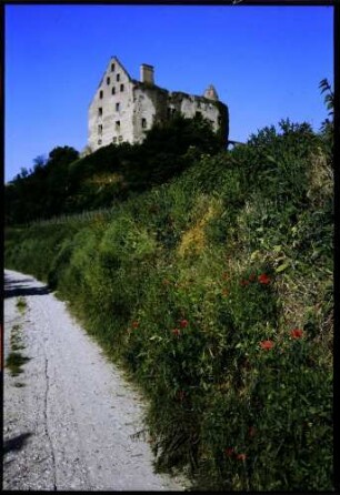 Burkheim: Schwendi-Schlossruine