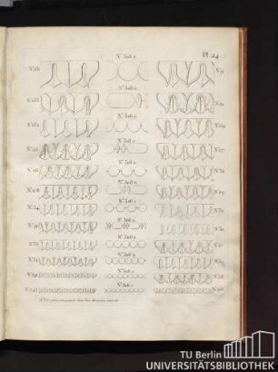 Pl. 24.