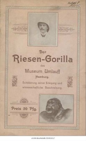 Der Riesen-Gorilla des Museum Umlauff Hamburg : Schilderung seiner Erlegung und wissenschaftliche Beschreibung