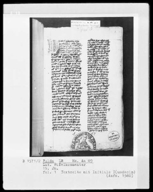 Lateinischer Bibelkommentar — Initiale D(uodecim), Folio 1recto