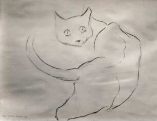 Entsetzte Katze : Entsetzte Katze. Zeichnung (vor 1949; E. Richter)