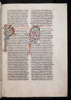 Zierinitiale: a) P(salmus); b) F(undamenta)