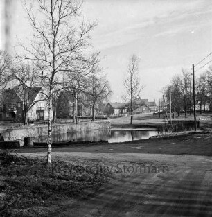 Dorfstraße: Dorfteich: vorn links Birke: dahinter gefällter Baum mit liegendem Stamm: hinten Bäume und Häuser