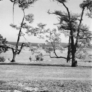Sibirien. Landschaft am Baikalsee