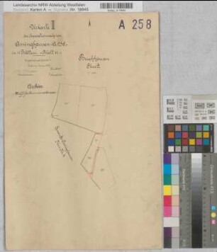 Assinghausen (Olsberg), Separation Assinghausen, Bl.11 Brouillonkarte I