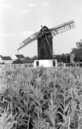 Pömmelte. Bockmühle, Baujahr 1860
