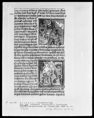 Avenares, Astrologische Handschrift — Buchseite mit Konstellationen der Sternbilder, Folio 16verso — Konstellationen der Sternbilder, Folio 16verso