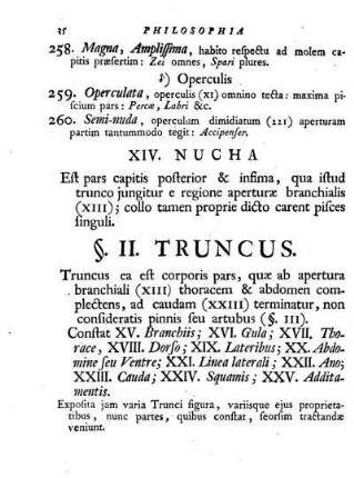 II. Truncus