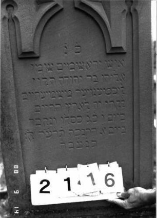 Grabstein 2116 (Index: 100097058) Maße HxBxT: 196x58x26 cm Symbolik: Levitenkanne: Grabstein 2116 (Detailaufnahme 1)