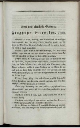 Zwei und vierzigste Gattung. Flughuhn. Pterocles. Temm.