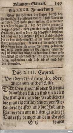 Das XIII. Capitel. Von dem Ornithogalo, oder Alexandrinischen Lilie.