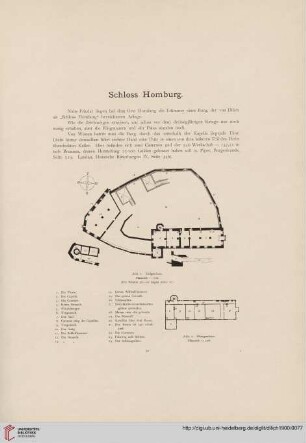 Schloss Homburg