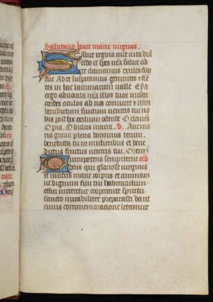 Antiphon 'Salve regina'