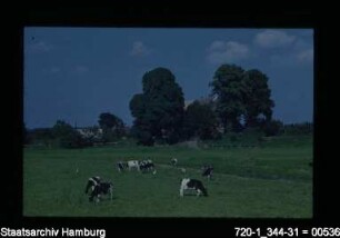 Vierlande, Curslack