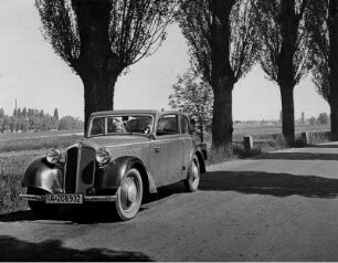 Fahrt des Fotografen im eigenen PKW auf einer Pappelchaussee im Weserland bei Minden
