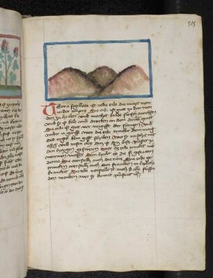 Erdhügel; Tonerdesilikat: Terra sigillata / Rote Erde