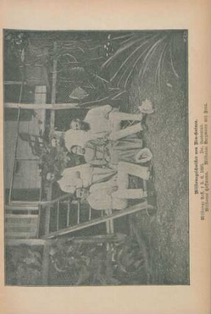 Missionsgeschwister von Neu-Guinea