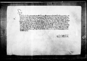 König Wenzel gebietet denen von Reutlingen, den Grafen Eberhard II., dem das Schultheißenamt zu Reutlingen mit der Achalm verpfändet ist, daran nicht zu irren.