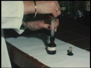 Elektronenmikroskopische Methodik - Präparation der Grünalge Micrasterias