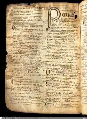 Epistolae Pauli cum glossis Latinis et Hibernoscotticis