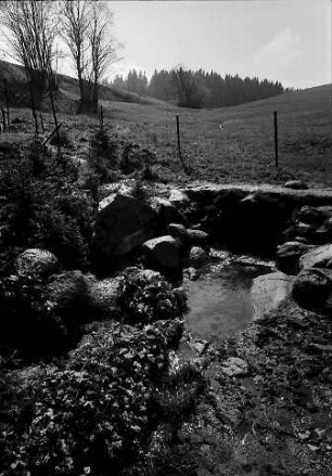 Der Donauursprung (Bregquelle) an der Martinskapelle bei Furtwangen