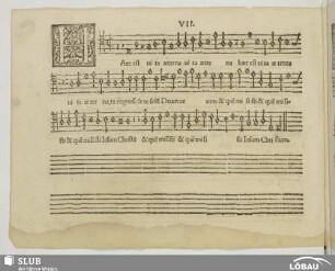 VII. Haec est vita aeterna