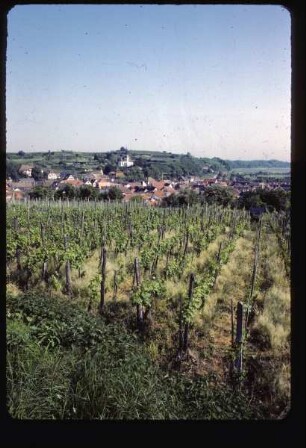 Blick auf Bahlingen am Kaiserstuhl