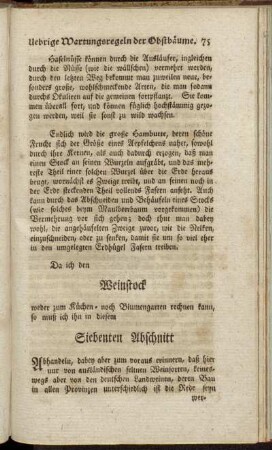 [Siebenter Abschnitt. Vom Weinstock.]