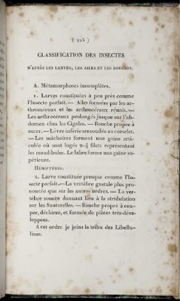 Classification des Insectes
