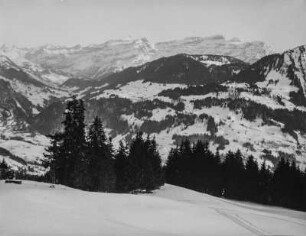 Alpine Landschaft : Schneebedeckte Berglandschaft mit Bergwald in den südwestlichen Alpen