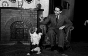 Bukarest: Wohnung Miller, Herr mit Foxterrier, macht Männchen