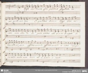 Recitativo: Vaghe luci d'amor sfere splendenti