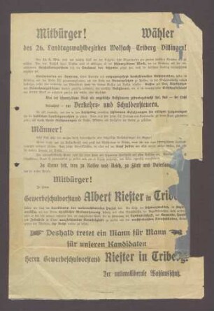 Wahlplakat: "Mitbürger! Wähler des 26. Landtagswahlbezirks Wolfach...Riester...", Nationalliberale Partei, Schönenberger, Triberg