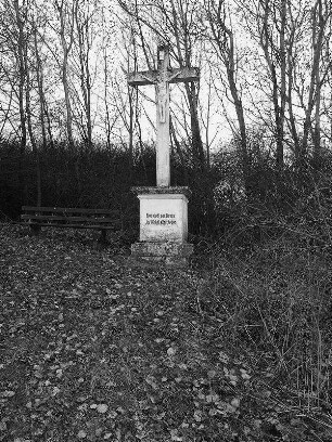 Kreuz am Rausch (Kreuz); Herbstein, Am Rausch