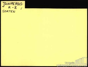 JUNIPERUS: Arten R-Z; Sorten