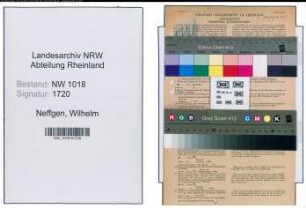 Entnazifizierung Wilhelm Neffgen , geb. 10.08.1891 (Landwirt)