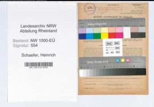Entnazifizierung Heinrich Schaefer, geb. 25.05.1891 (Journalist)