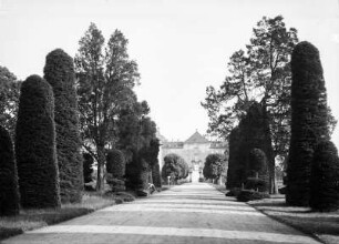 Moritzburg. Mittelallee gegen Schloss : Moritzburg, Jagdschloss und Schlossgarten. Mittelallee mit Formbäumen (Fichte [Picea abies]) gegen das Schloss