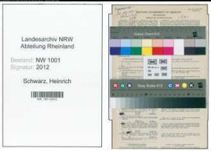 Entnazifizierung Heinrich Schwarz, geb. 29.03.1906 (Holzarbeiter)