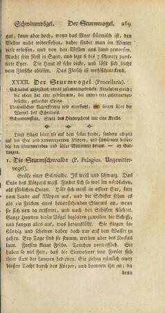 XXXII. Der Sturmvogel