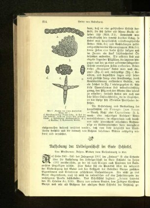 Aufhebung der Leibeigenschaft im Gute Schinkel.