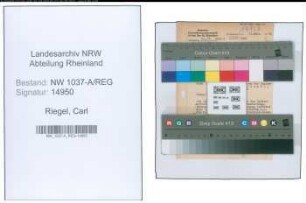 Entnazifizierung Carl Riegel , geb. 01.05.1882 (Bankinspektor)
