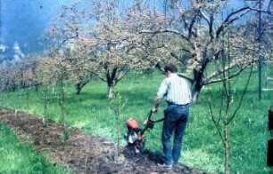 Fotografie: Obstbau, Pflegetechnik, Hackmaschine, Einachstraktor, Bodenpflege