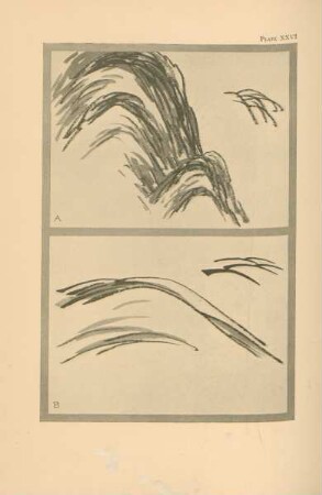 Plate XXVI