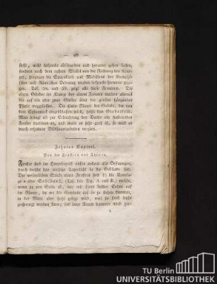 Zehntes Kapitel. Von den Fenstern und Thüren.